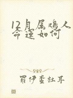 12月属鸡人的命运如何