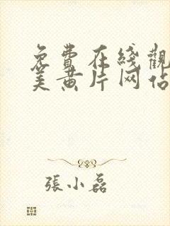 免费在线观看欧美黄片网站封面