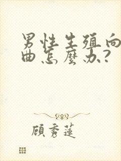 男性生殖向下弯曲怎么办?