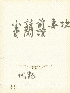 小说前妻攻略免费阅读