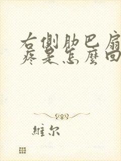 右侧肋巴扇下面疼是怎么回事