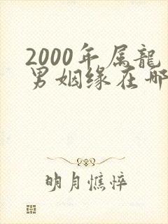 2000年属龙男姻缘在哪年最旺盛