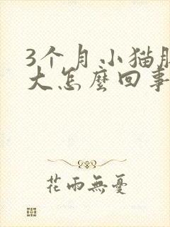 3个月小猫肚子大怎么回事