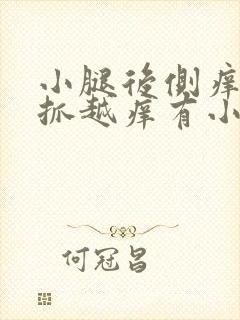 小腿后侧痒痒越抓越痒有小红疙瘩