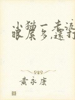 小猫一老流眼泪眼屎多,还打喷嚏