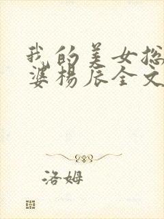 我的美女总裁老婆杨辰全文免费阅读封面