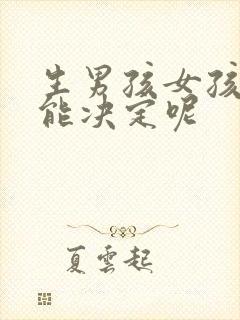 生男孩女孩子谁能决定呢