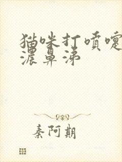 猫咪打喷嚏黄色浓鼻涕