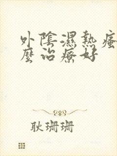 外阴湿热瘙痒怎么治疗好