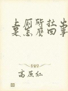 上厕所拉出血了是怎么回事