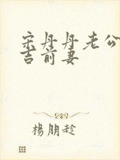 宋丹丹老公赵玉吉前妻