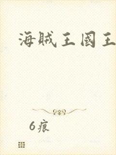 海贼王国王之拳