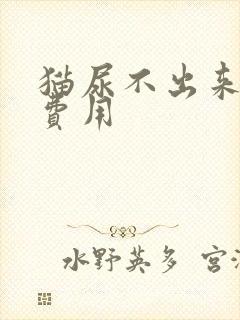 猫尿不出来治疗费用