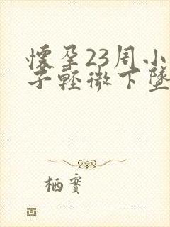 怀孕23周小肚子轻微下坠着疼封面