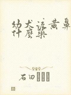 幼犬流黄鼻涕吃什么药