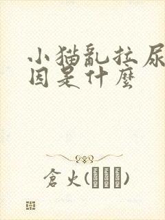 小猫乱拉尿的原因是什么