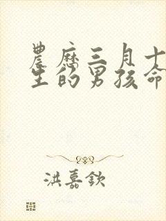 农历三月十一出生的男孩命运好不好封面