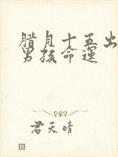 腊月十五出生的男孩命运