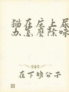 猫在床上尿怎么办怎么除味