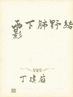 两下肺野结节状影