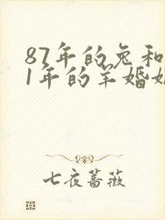 87年的兔和91年的羊婚姻如何