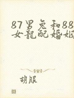 87男兔和88女龙配婚姻好不好封面