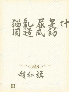 猫乱尿是什么原因造成的