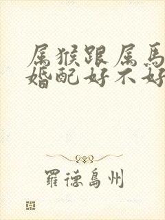 属猴跟属马的人婚配好不好封面