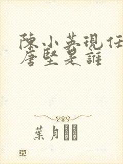 陈小英现任丈夫唐坚是谁