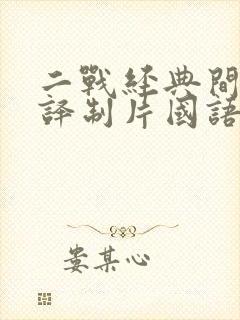 二战经典间谍战译制片国语