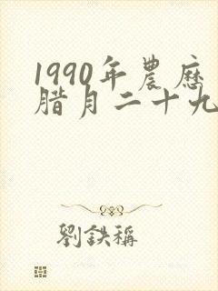 1990年农历腊月二十九女生的命运封面