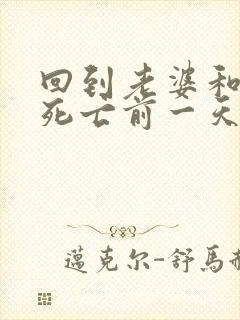 回到老婆和儿子死亡前一天封面