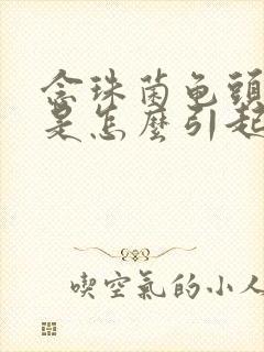 念珠菌龟头发炎是怎么引起的