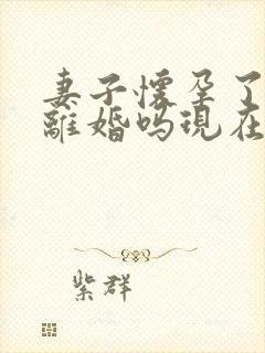 妻子怀孕了可以离婚吗现在