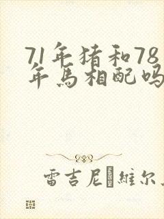 71年猪和78年马相配吗封面