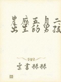 农历五月二十二出生的男孩命运