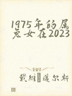 1975年的属兔女在2023年的运势