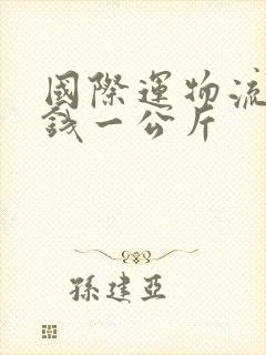 国际运物流多少钱一公斤