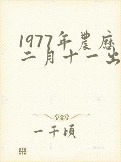 1977年农历二月十一出生的命运封面