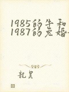 1985的牛和1987的兔婚姻怎样