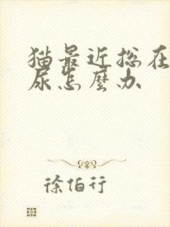 猫最近总在床上尿怎么办封面