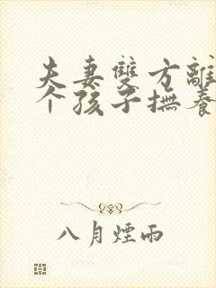 夫妻双方离婚两个孩子抚养权怎么判定