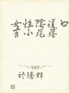 女性阴道口痒还有小疙瘩