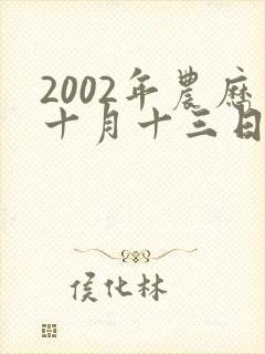 2002年农历十月十三日出生的男孩的命运