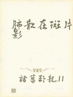 肺散在斑片条索影