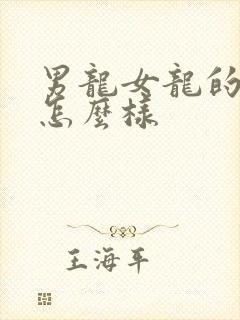 男龙女龙的婚姻怎么样