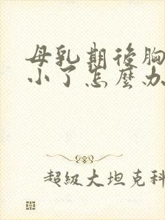 母乳期后胸下垂小了怎么办封面