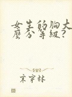 女生的胸大小怎么分等级?