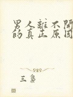 男人离不开情人的真正原因是什么