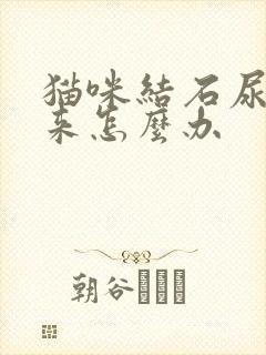 猫咪结石尿不出来怎么办